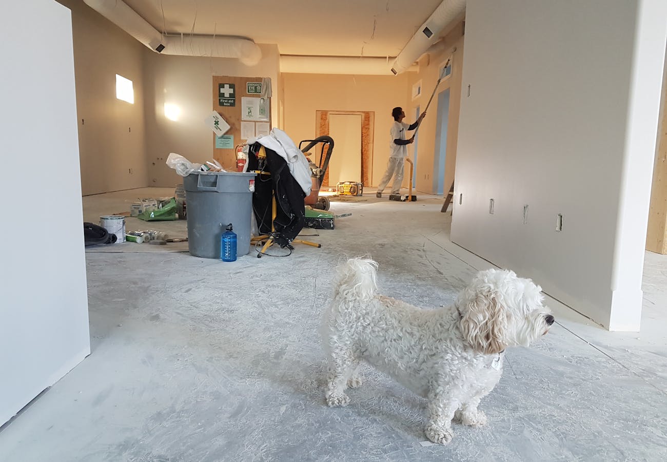 lurgan painter decorater moira painter waringstown painter decorator dollingstown